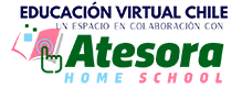Educación Virtual Chile